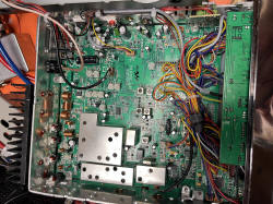 Texas_longHorn_Superior_N6