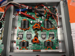 Texas_longHorn_Superior_N6